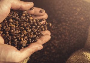Mocha Bliss