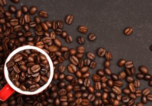 Bean Lovers